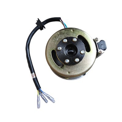 Peças de motocicleta Bobina do estator e rotor magneto para 110cc CG125